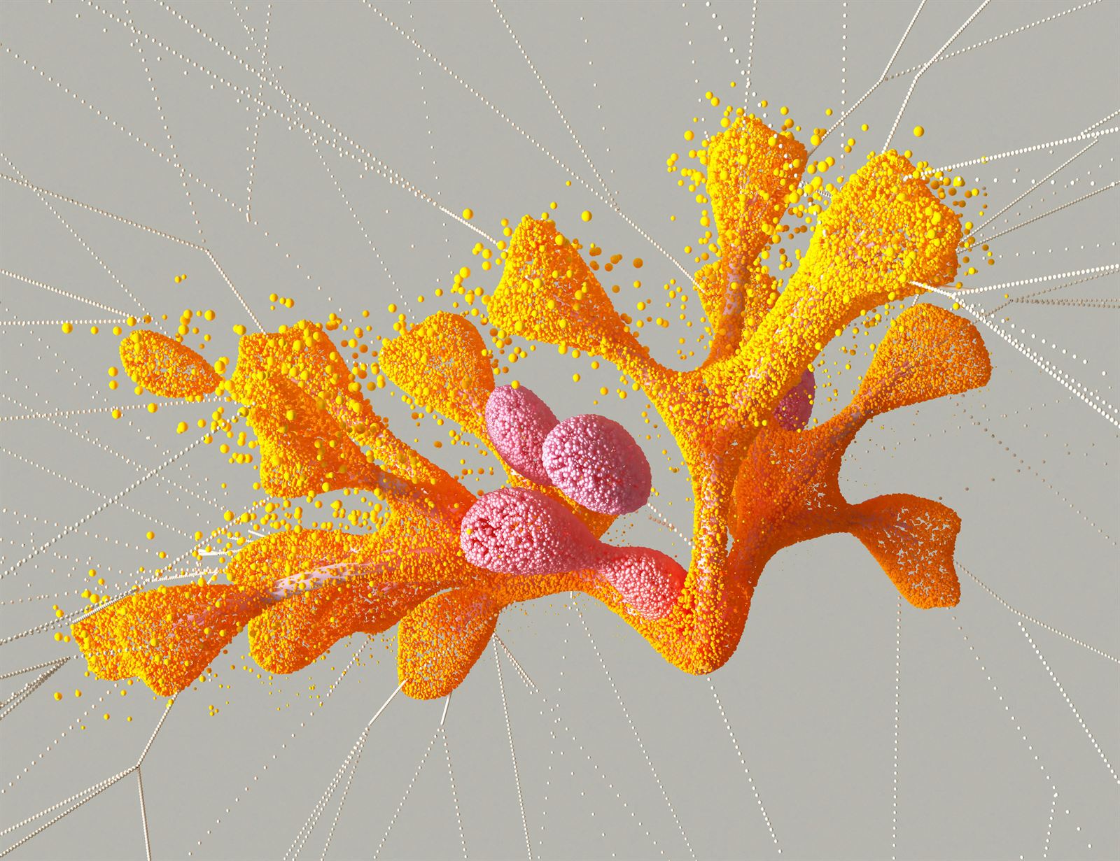 Abstract generative visualisation